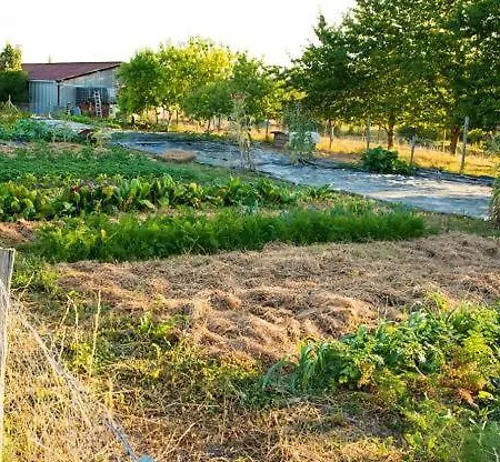 La Tiny Dans La Prairie Campingplads Saussignac