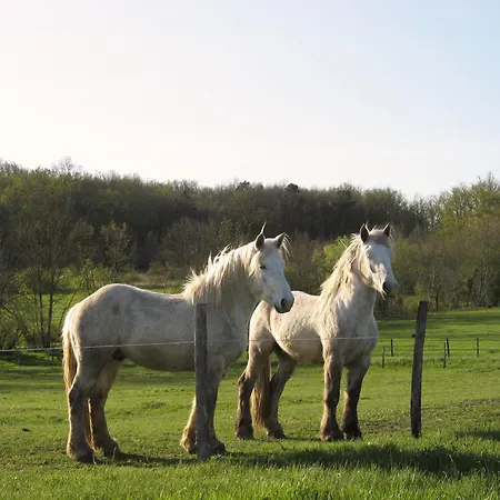 La Tiny Dans La Prairie Campingplads Saussignac